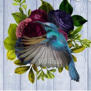 Meet your Posher, Tanya